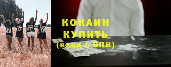 твердый Вяземский